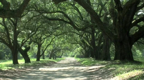 Catch Up Stock Footage 698943