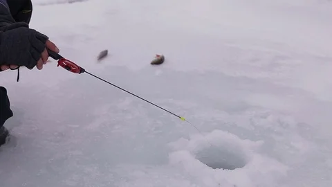 Catch grouper from the winter wells Stock Footage 71179680