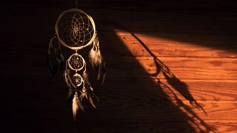 Catch your Dream in the Sunset Stock Footage 120614206