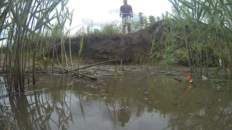 Catches the bait Video stock 43009165