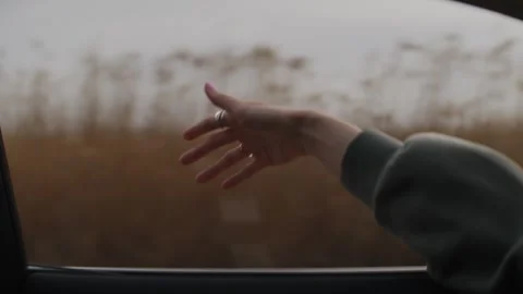 Catching the breeze with a gentle hand while road-tripping to other countries Stock Footage 342412182