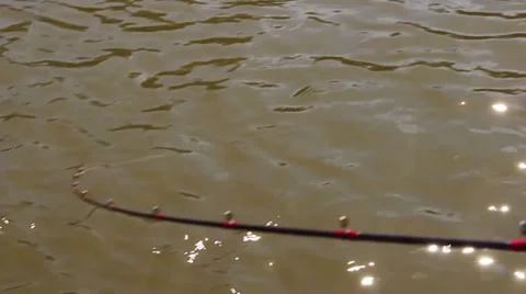 CATCHING A FISH 3 Stock Footage 34563309