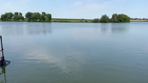 Catching fish in a carp net Stock Footage 248413288