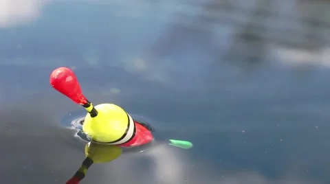 Catching of fish. Stock Footage 48844717