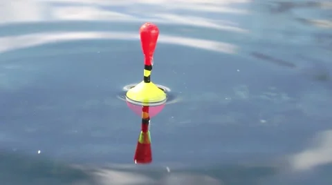 Catching of fish. Stock Footage 48844722