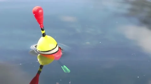 Catching of fish. Stock Footage 48844723