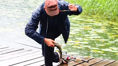 CATCHING FISH Stock Footage 97525390