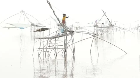 Catching fish Stock Footage 158715344