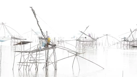 Catching fish Stock Footage 158715355