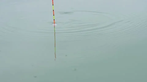 Catching fish Stock-Footage 163222640