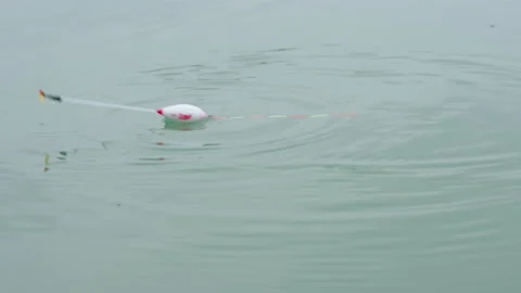 Catching fish Stock-Footage 163223643