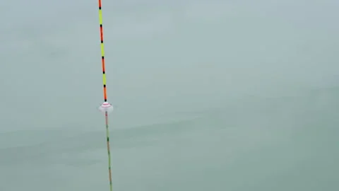 Catching fish Stock-Footage 163224241