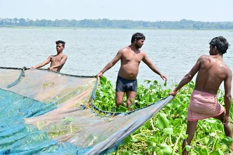 Catching fish with net Stock Photos
