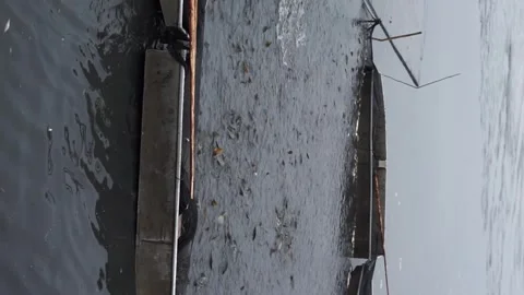 Catching fish with nets vertical video Stock Footage 257054873