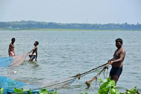 Catching fish Foto stock