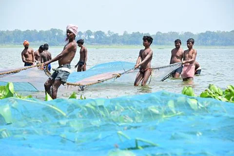 Catching fish Stock Photos