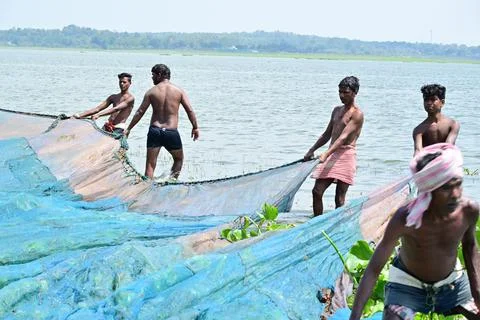 Catching fish Foto stock