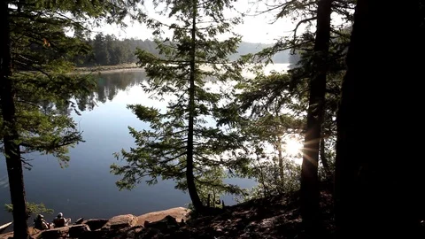 Catching Fish at Quiet Lakeside Stock Footage 87770134