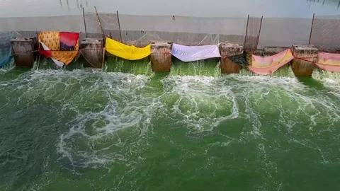 Catching fish with technique Stock Footage 139687938