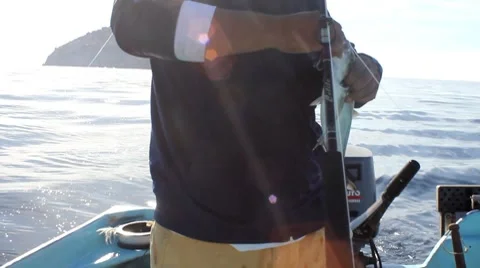 Catching fish1 1 Stock Footage 7753836