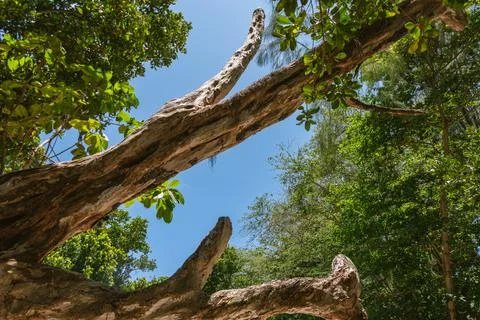 Catching A Glimpse Of The Sky Stock Photos