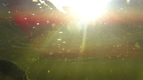 Catching pike. Vidéo 45010354