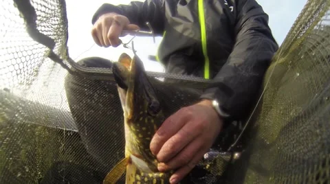 Catching pike. Stock-Footage 45035847