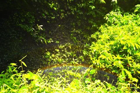 Catching 'rainbow' in Devi Waterfall Stock Photos