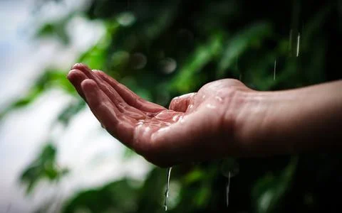 Catching raindrops Stock Photos