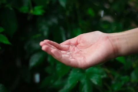 Catching raindrops Stock Photos