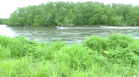 Catching of red fish by means of motor boats Video stock 8663236