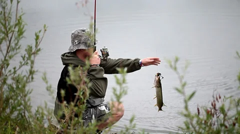 Catching a small Pike in a lake Stock Footage 36646050