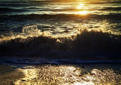 Catching a wave Stock Photos