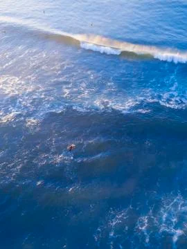 Catching Wave Stock Photos