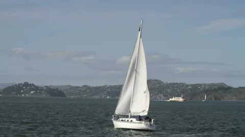 Catching the wind in the Bay Stock Footage 12033827