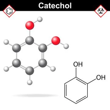 Catechol molecule Stock Illustration