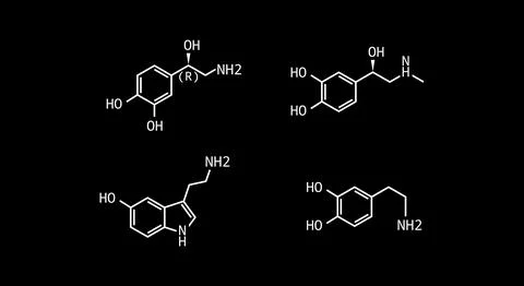 Catecholamines vector formula illustration isolated Stock Illustration
