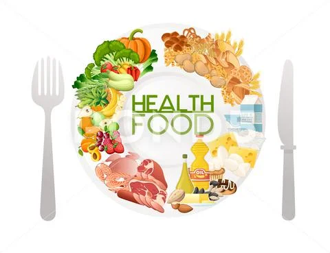 Categories of Healthy eating types of food vector illustration on white ...