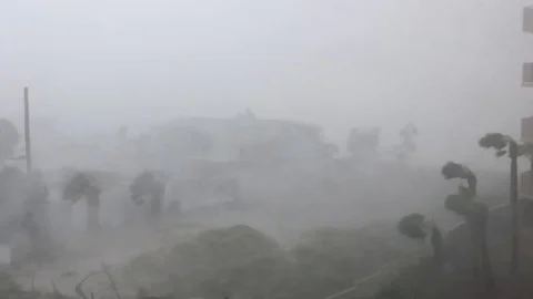 Category 5 Hurricane Michael Destructive Winds Stock Footage 113107087
