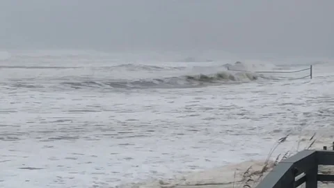 Category 5 Hurricane Michael Storm Surge Stock Footage 113105918