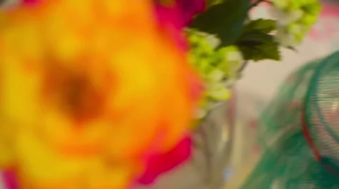 Catepillar monarch captivity Stock Footage 67730099