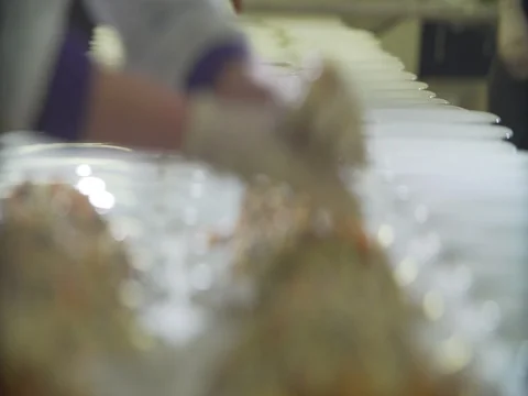Catering Stock Footage 83285476