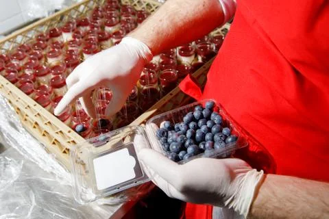 Catering mousse coocking Stock Photos