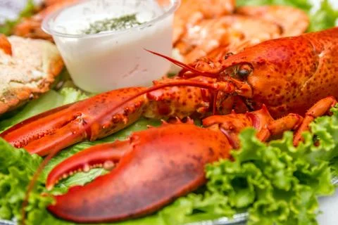 Catering table Foto stock