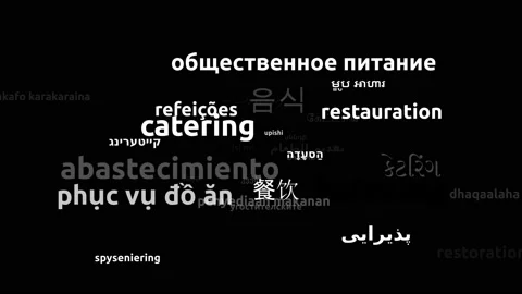 Catering Translated in 41 Worldwide Languages Endless Looping 3d Zooming Word 스톡 동영상 145223216