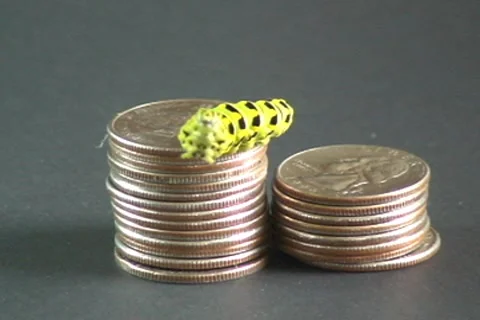 Caterpillar 5 Stock Footage 7755322