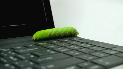 Caterpillar climbing and looking on computer Stock Footage 40616518