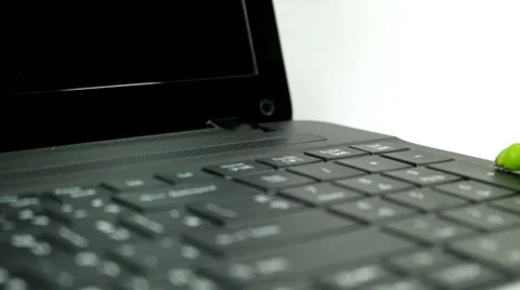 Caterpillar climbing and looking on computer 스톡 동영상 40635528