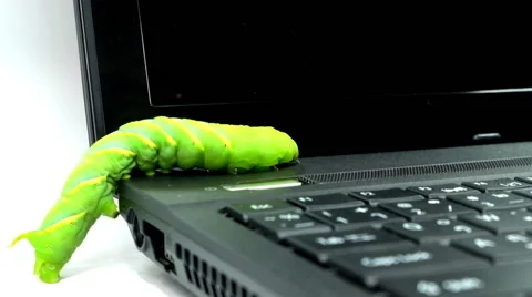 Caterpillar climbing and looking on computer Vídeo Stock 40635587