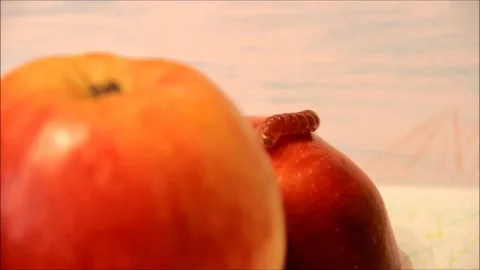 Caterpillar climbing down from an apple Stock Footage 77862233